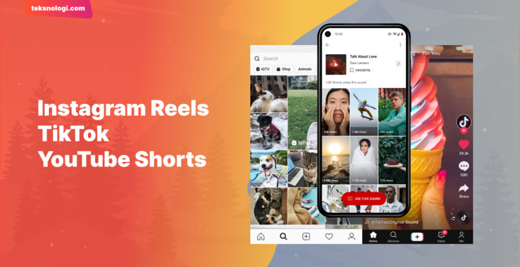 instagram-reels-vs-tiktok-vs-youtube-shorts